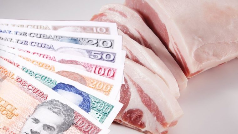 salario comida cuba vida digna