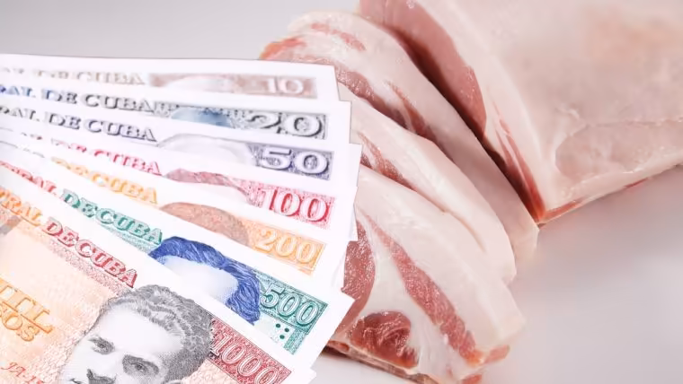 salario comida cuba vida digna