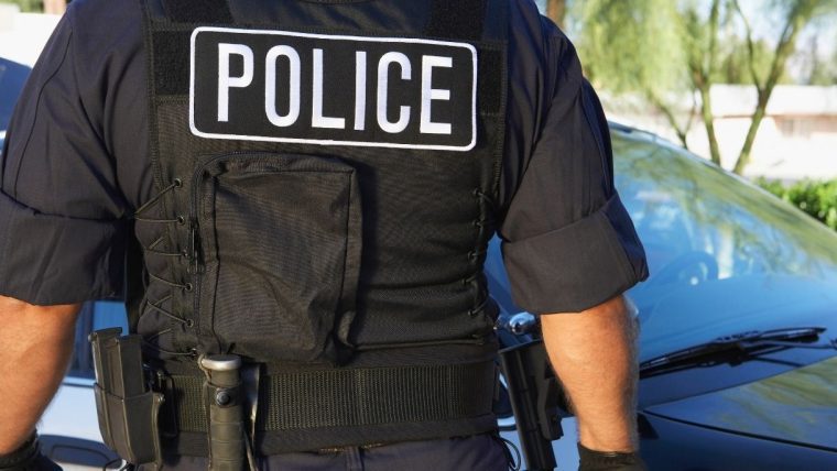 creimen dollar tree miami