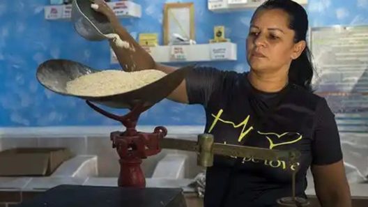 Arroz, azúcar y aceite: lo que están vendiendo hoy las bodegas cubanas por provincias