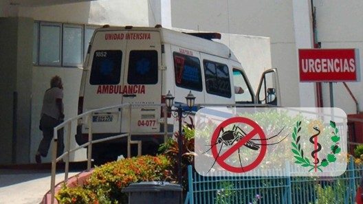 MINSAP actualiza la situación de arbovirosis en Cuba: más de 39600 casos