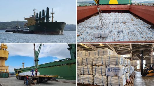 Corea dona 24 mil 600 toneladas de arroz para asistencia alimentaria en Cuba