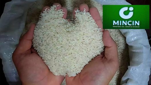 Llegó el arroz: Arriba a Cuba un barco con arroz de donación para reforzar la canasta básica