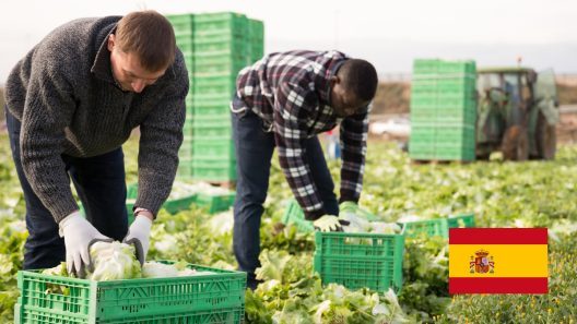 Los programas GECCO impulsan la migración laboral en España con casi 26.000 trabajadores en 2025