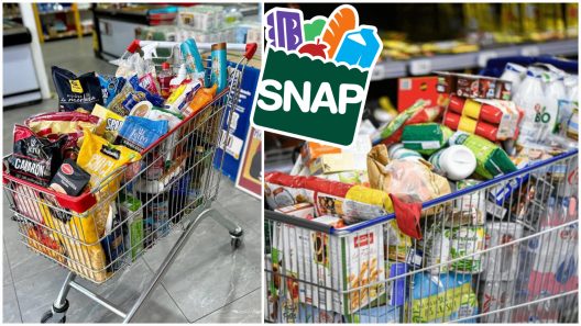 Recortes en las food stamps del SNAP: Esto es lo que ya no se puede comprar con los cupones de alimentos desde 2026 en Estados Unidos