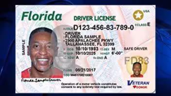 licencia florida