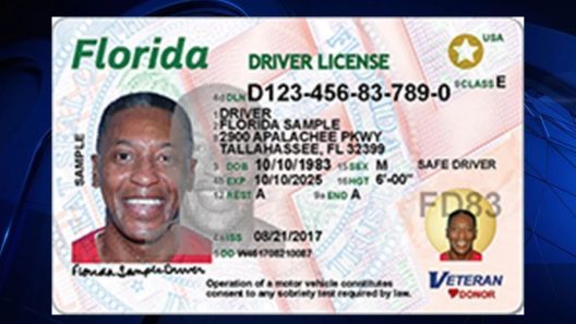 Propuesta en Florida busca marcar licencias de conducción de «no ciudadanos»
