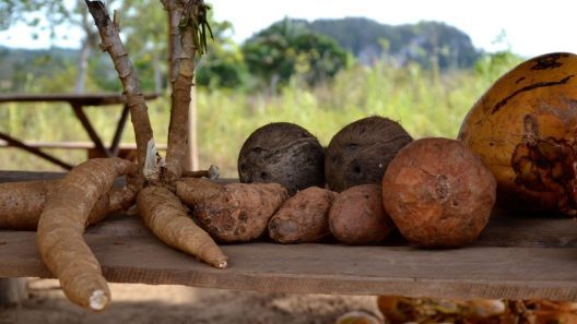 El salario promedio en Cuba sigue en caída libre frente a la inflación
