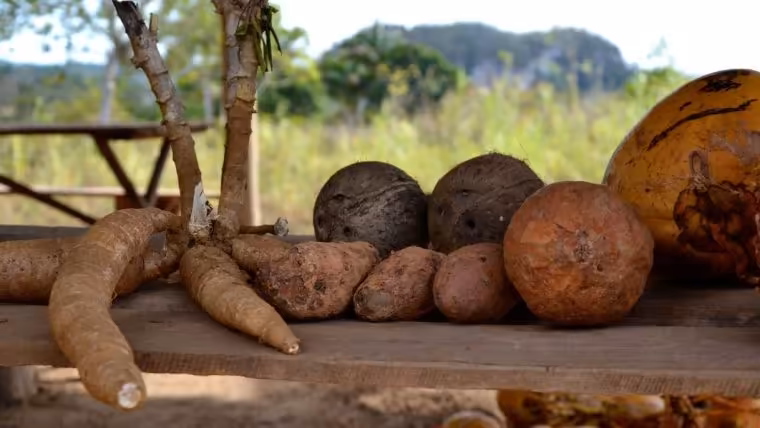 salario precios cuba