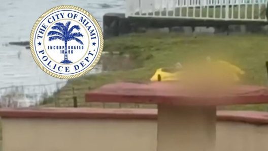 Miami: cuerpo aparece en lago de Hialeah tras persecución policial