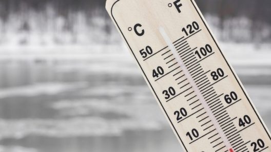 Alerta por frío extremo en Florida: así estará el tiempo hasta el lunes