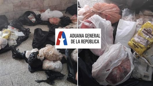 Aduana de Cuba detecta 121 kilos de especies protegidas en el aeropuerto de Holguín con destino a Estados Unidos