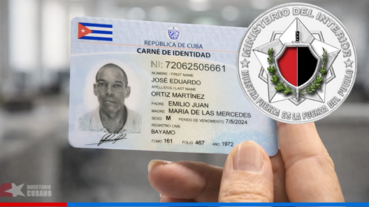 Carné de identidad en Cuba: MININT responde dudas sobre la falta de tarjetas