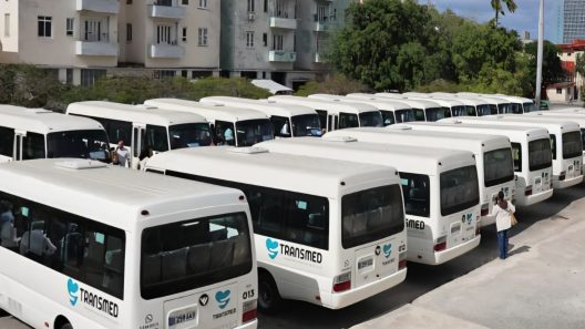 Nueva mipyme ofrecerá transporte público por 20 pesos en La Habana y cubrirá servicios médicos