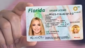 licencia conduccion florida