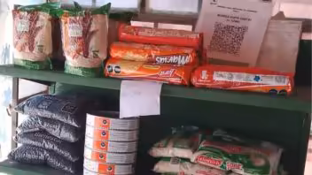 donacion mexico pinar