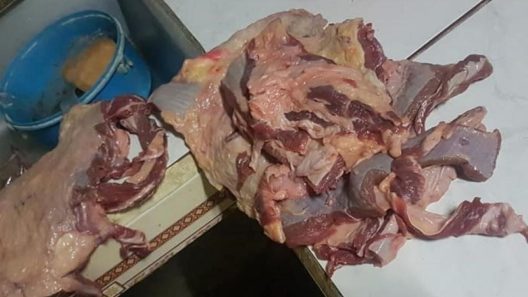Decomisan más de 90 libras de carne de res en operativo policial en oriente cubano