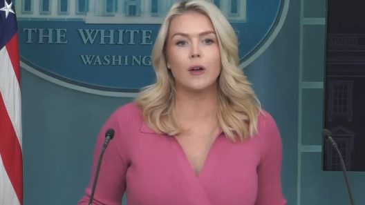 La Casa Blanca advierte a Díaz-Canel y le sugiere más cautela al referirse a Trump