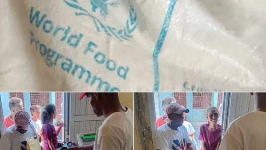 Entrega de arroz donación en Cuba: anuncian 3 kg para grupos específicos 