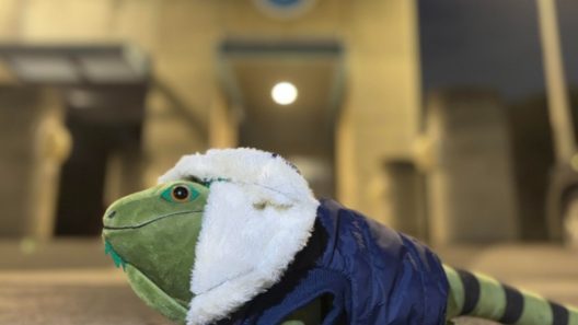 Temperaturas en Miami y Cuba: cuándo llegará el descenso más marcado 