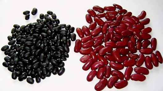 Frijoles a 280 pesos la libra por la libreta de abastecimiento