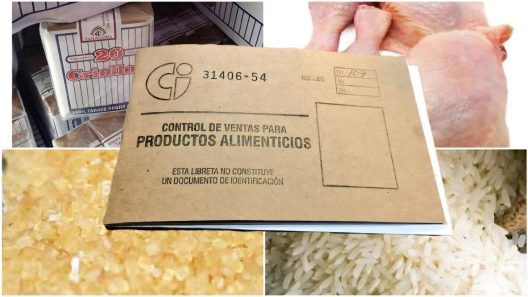 ¿Qué pasará con la libreta de abastecimiento? La canasta básica dejará de ser lo que era desde abril