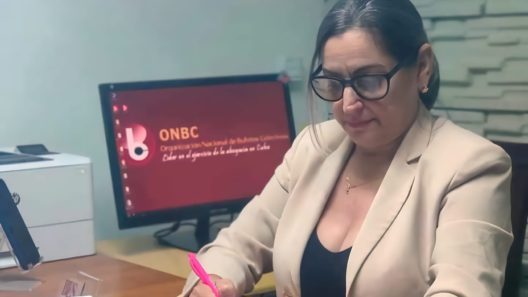 Bufetes Colectivos: estos trámites puedes hacer sin cita previa