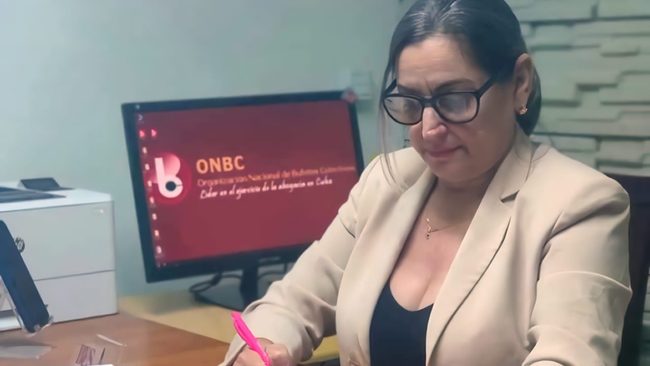 Bufetes Colectivos: estos trámites puedes hacer sin cita previa