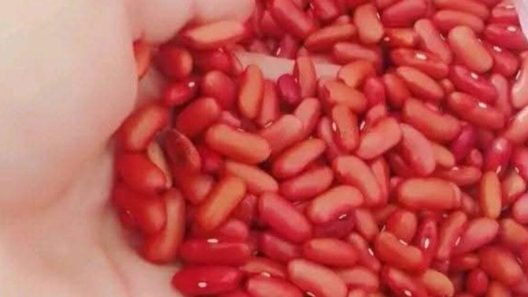 Venta de frijol nacional en Cuba por bodegas a 285 CUP la libra