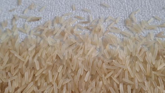 ¿Arroz en las montañas de Cuba? La crisis alimentaria obliga a reinventar el país