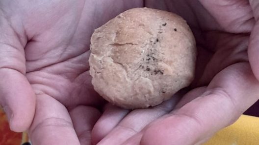 Pan de la libreta en Cuba provoca indignación: cada día más pequeño