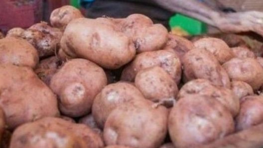 Venta de papas en Cuba: abren nuevas posibilidades