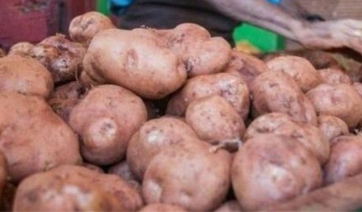 Venta de papas en Cuba: abren nuevas posibilidades