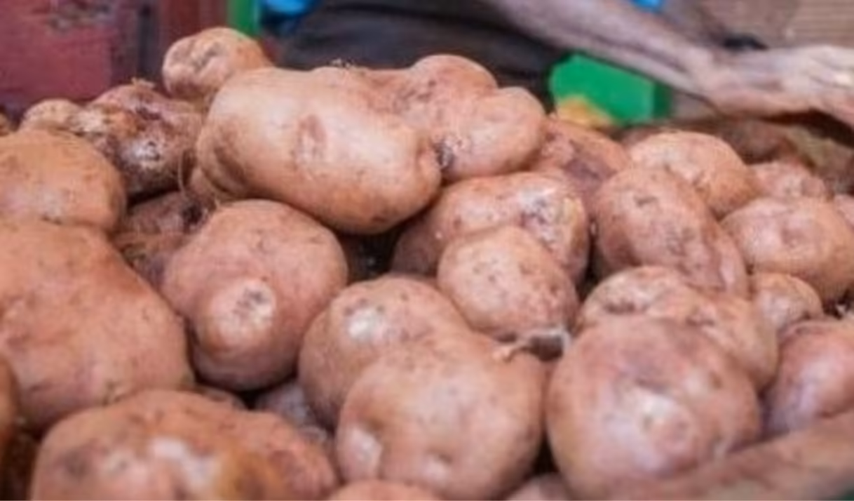 Venta de papas en Cuba: abren nuevas posibilidades