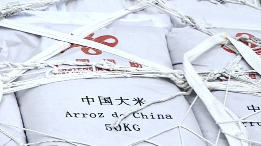 China envía 60 mil toneladas de arroz a Cuba: alcanza para poco tiempo y deja una duda importante