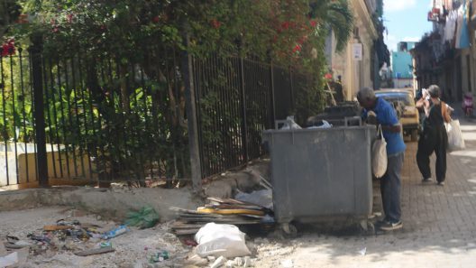 Un convoy solidario enviará a Cuba más de 20 toneladas de ayuda con apoyo de Greta Thunberg