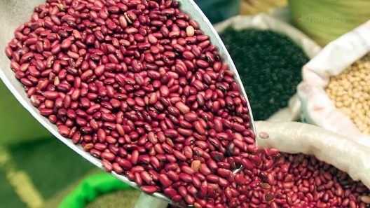 Güira de Melena inicia la venta regulada de frijol local en bodegas del municipio