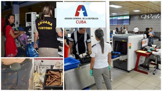 Estados Unidos-Cuba: Importante decomiso por parte de inspectores de la Aduana