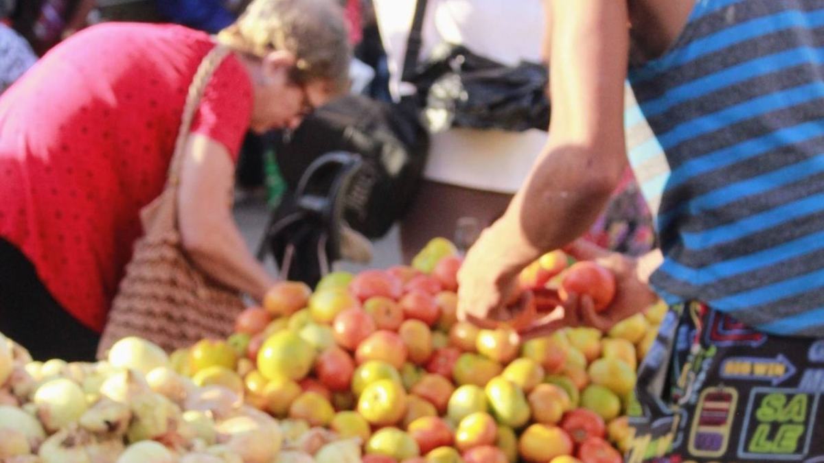 ¿Precio abusivo? Estos son los números donde puedes denunciar, según el oficialismo