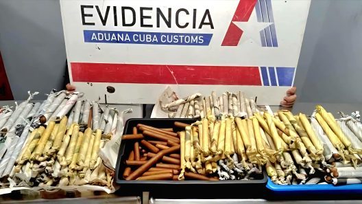 Decomisan casi 2.000 tabacos y aves ocultas en intento de salida ilegal desde La Habana
