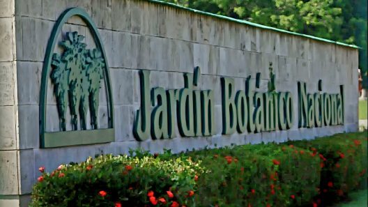 Cierre indefinido del Jardín Botánico Nacional de Cuba por falta de combustible