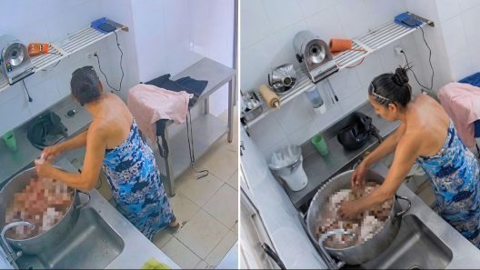 Mujer se lleva carne y un móvil sin notar la cámara que la grababa