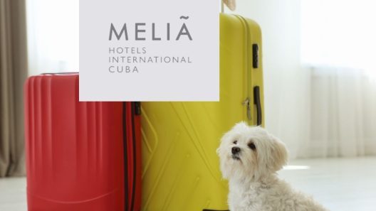 Meliá sorprende a viajeros a Cuba con este nuevo servicio en hoteles en medio de crisis