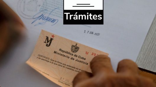 ¿Viajas o emigras? Bufetes aclara sobre los antecedentes penales en Cuba para uso en el exterior