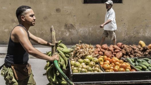 Gobierno cubano endurece medidas: multas y expropiaciones por la venta de productos