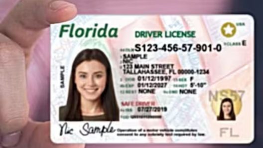 Cambios en las licencias de Florida: dirán «no ciudadano» desde esta fecha