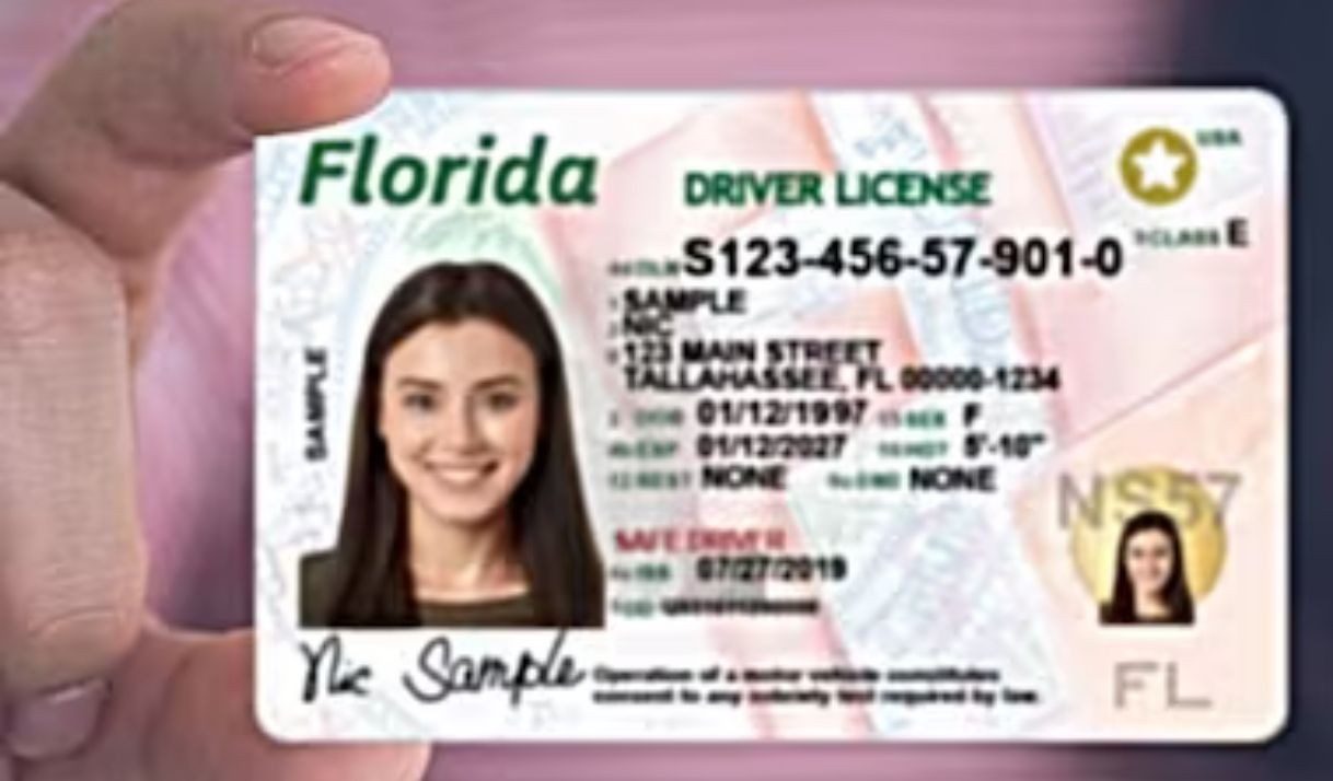 Cambios en las licencias de Florida: dirán «no ciudadano» desde esta fecha