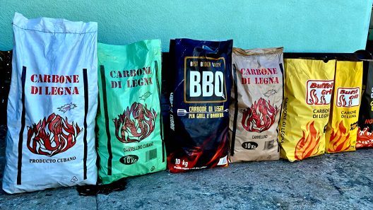 Carbón vegetal de Camagüey gana espacio en Italia y busca abrir nuevos mercados