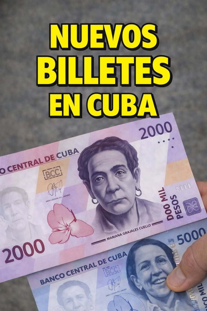 INFORMACIÓN del Banco Central de CUBA ¿Cuántos billetes de estos verás al mes?