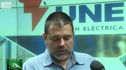 Directivo de la UNE advierte sobre apagones en el horario pico: estas son las causas